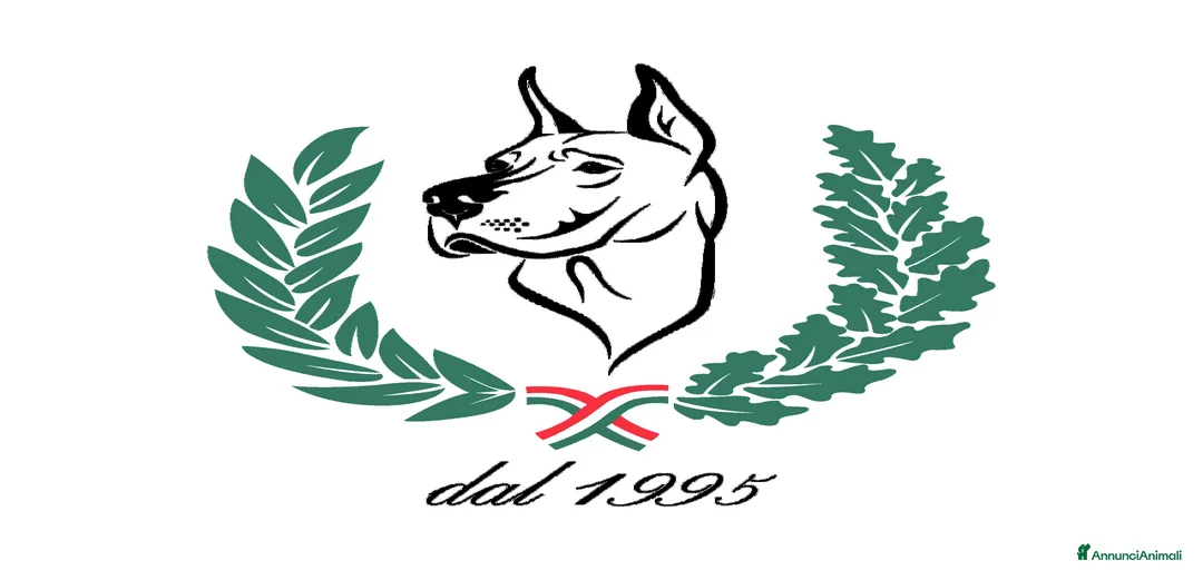 Immagine della galleria {{count}}