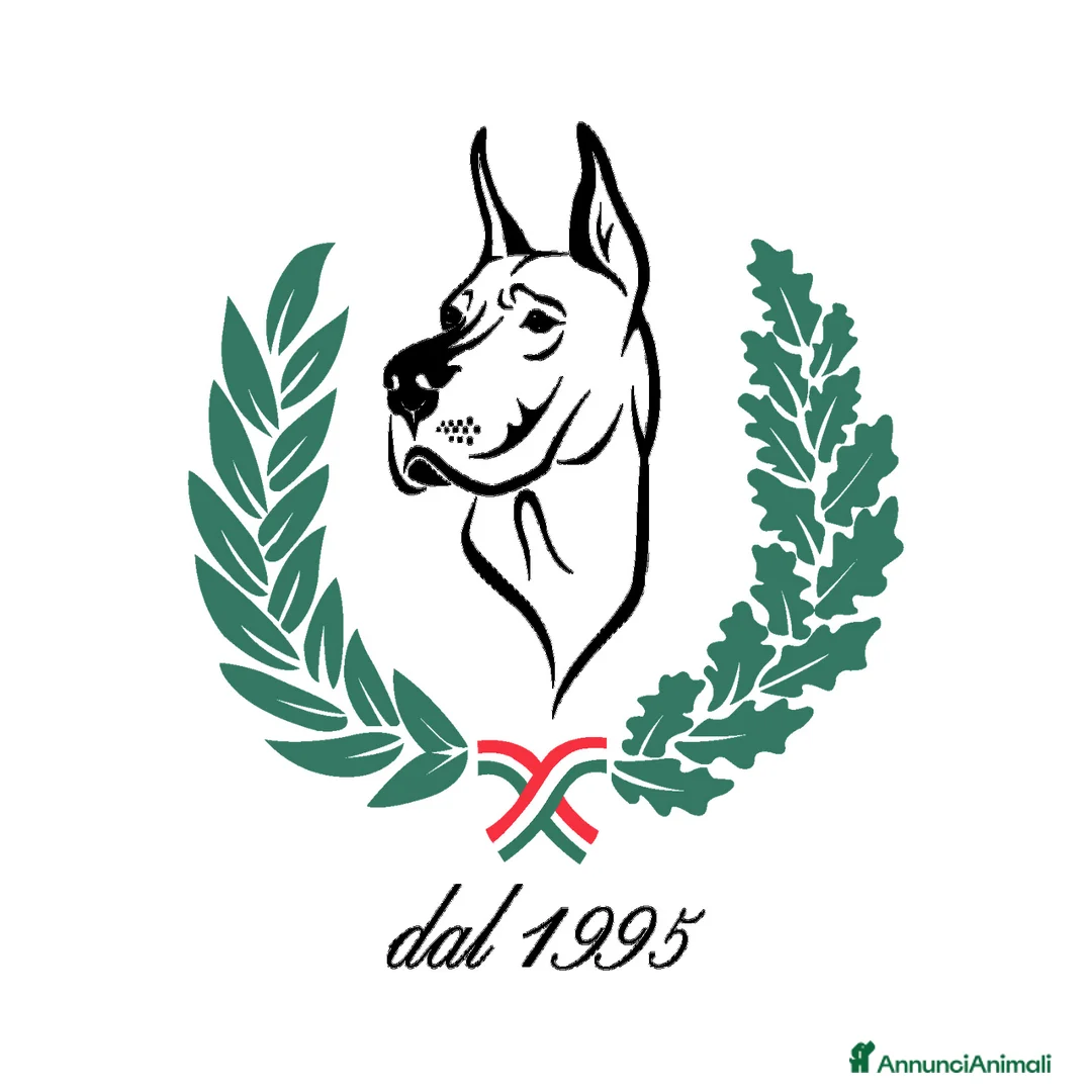 Immagine della galleria {{count}}