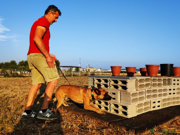 Immagine della galleria {{count}}