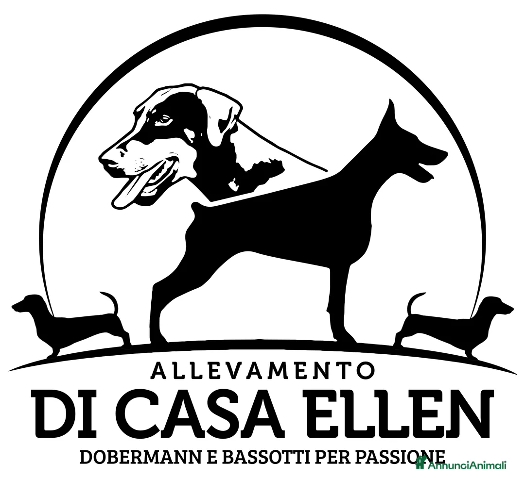 Immagine della galleria {{count}}