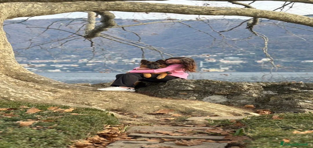 Immagine della galleria {{count}}