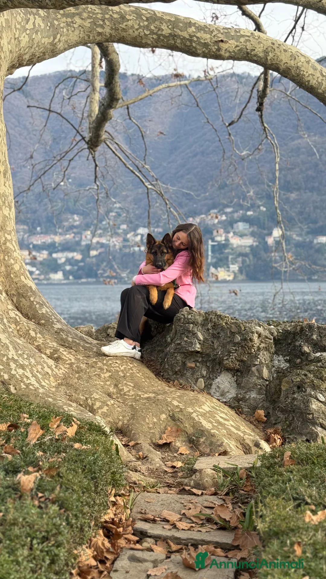 Immagine della galleria {{count}}