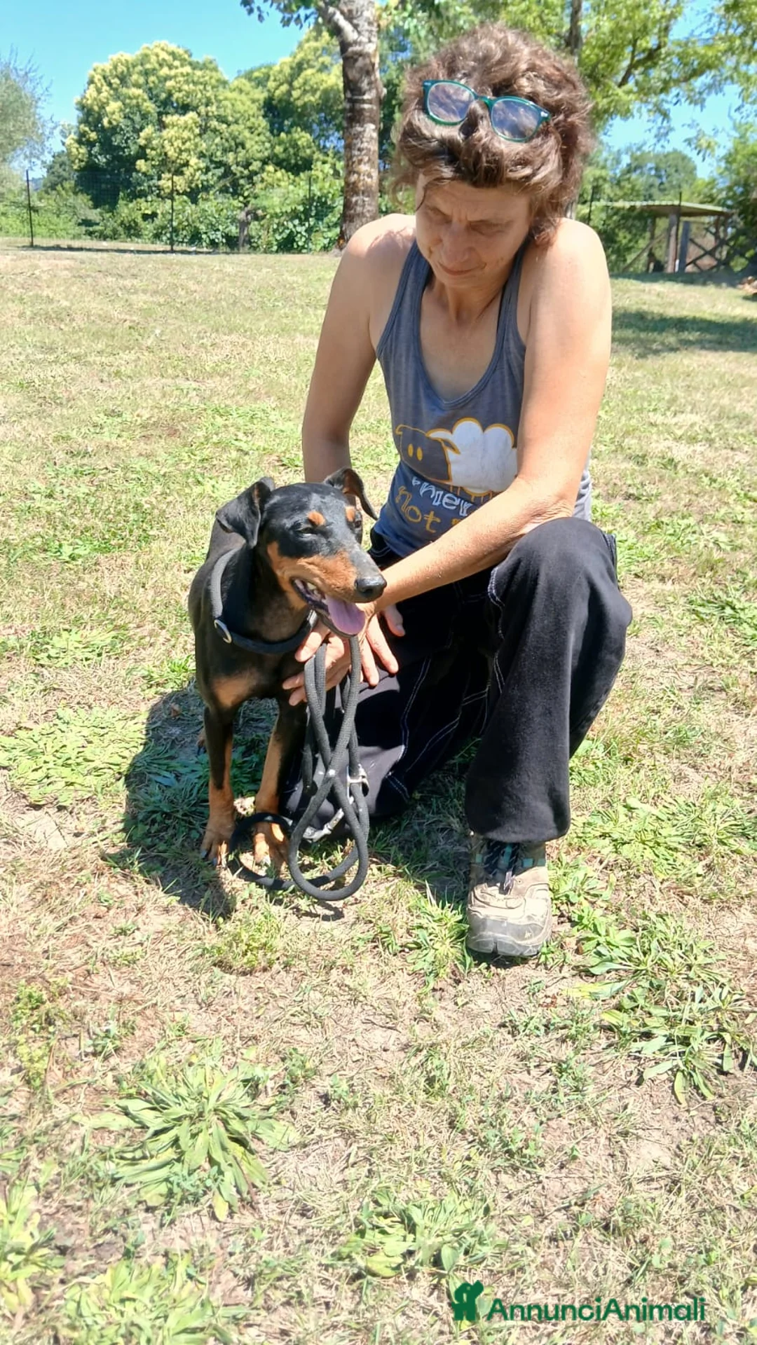 Meticcio cani in regalo: DUCA TUTTA LA DOLCEZZA DEL MONDO IN 10 KG - Annuncio 2