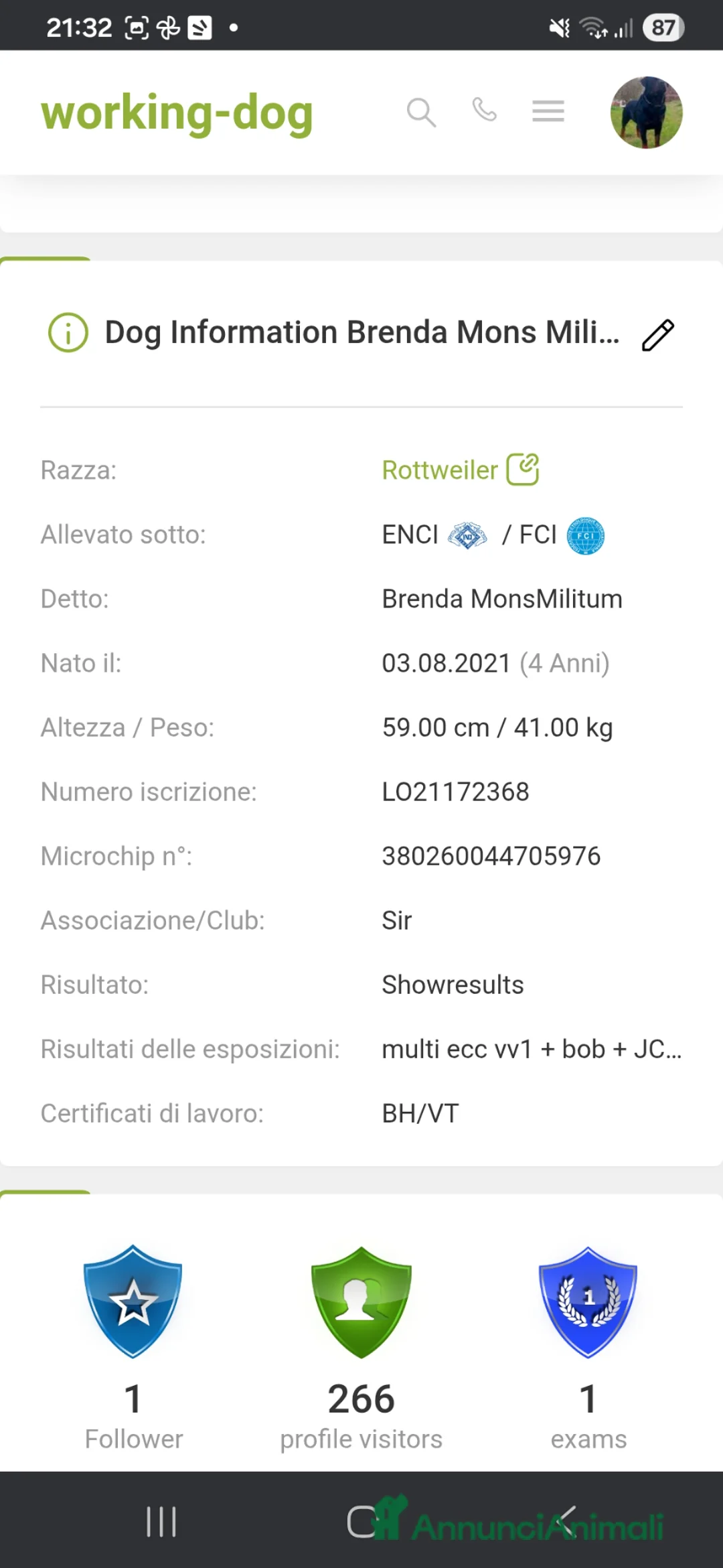 Rottweiler cani in vendita: Disponibili cuccioli rottweiler - Annuncio 29