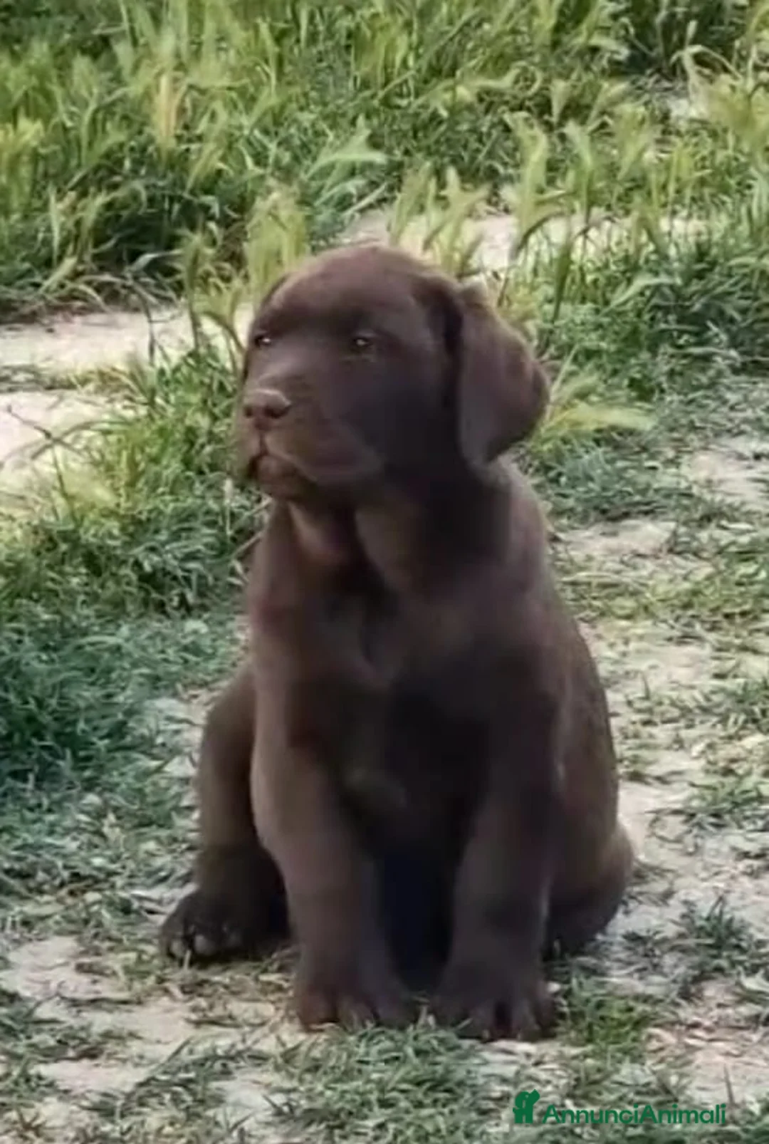 Immagine della galleria {{count}}