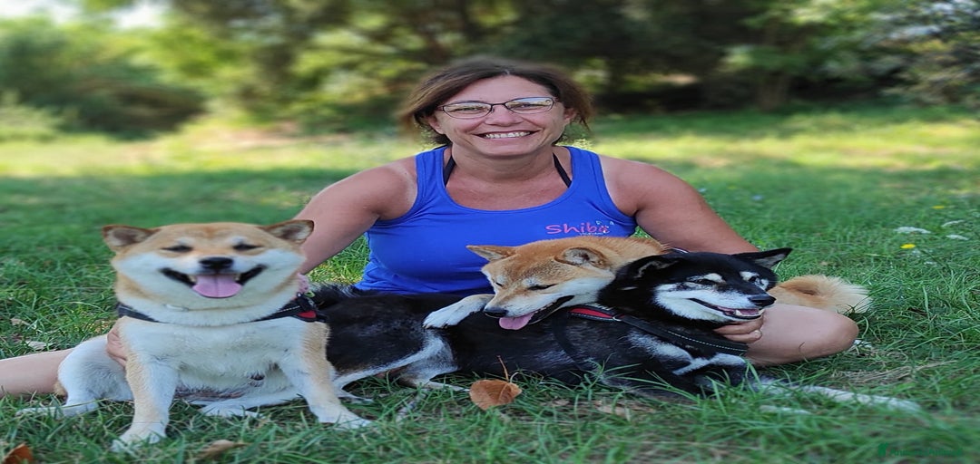 Immagine della galleria {{count}}