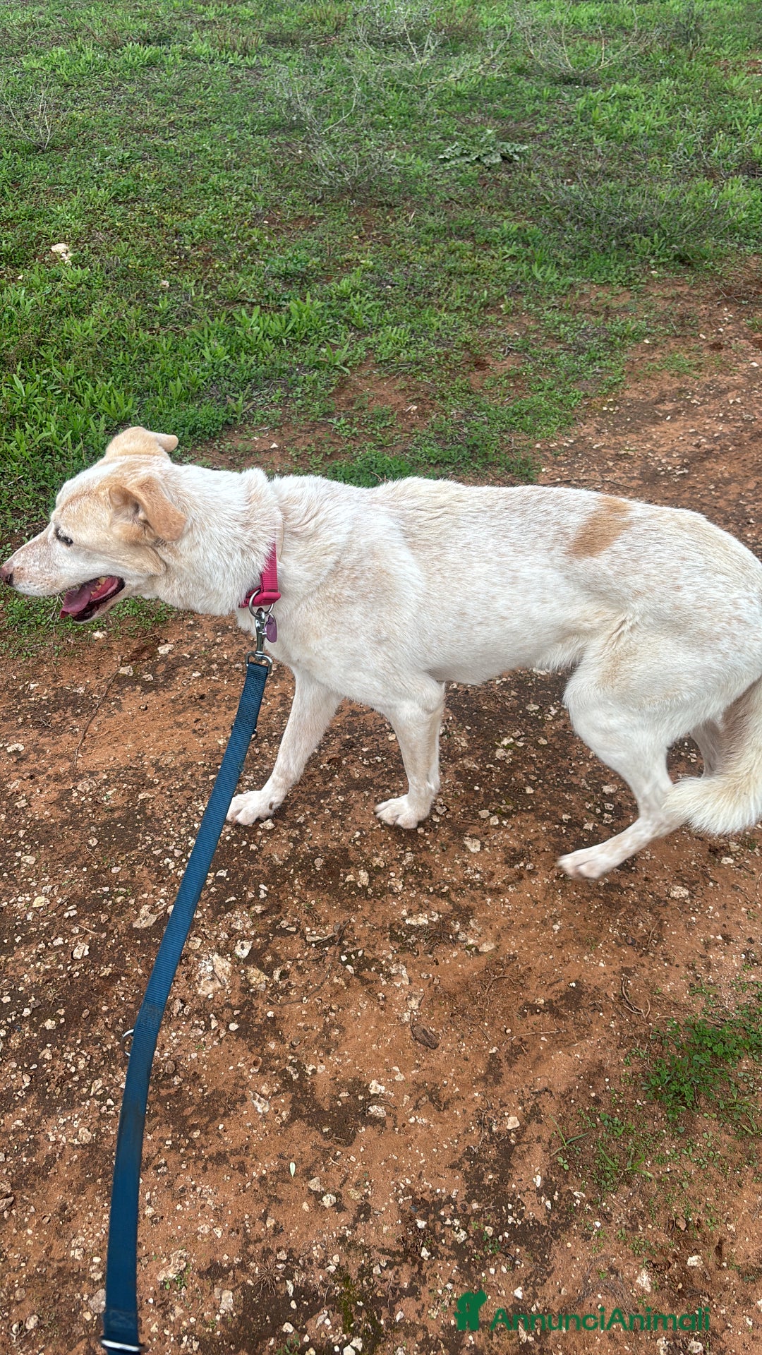 Immagine della galleria {{count}}