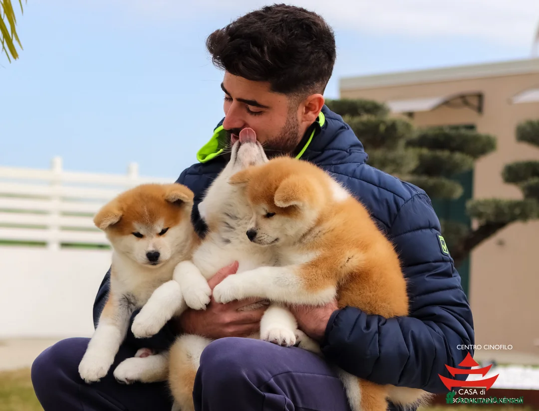 Immagine della galleria {{count}}