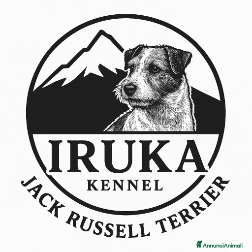 Immagine della galleria {{count}}