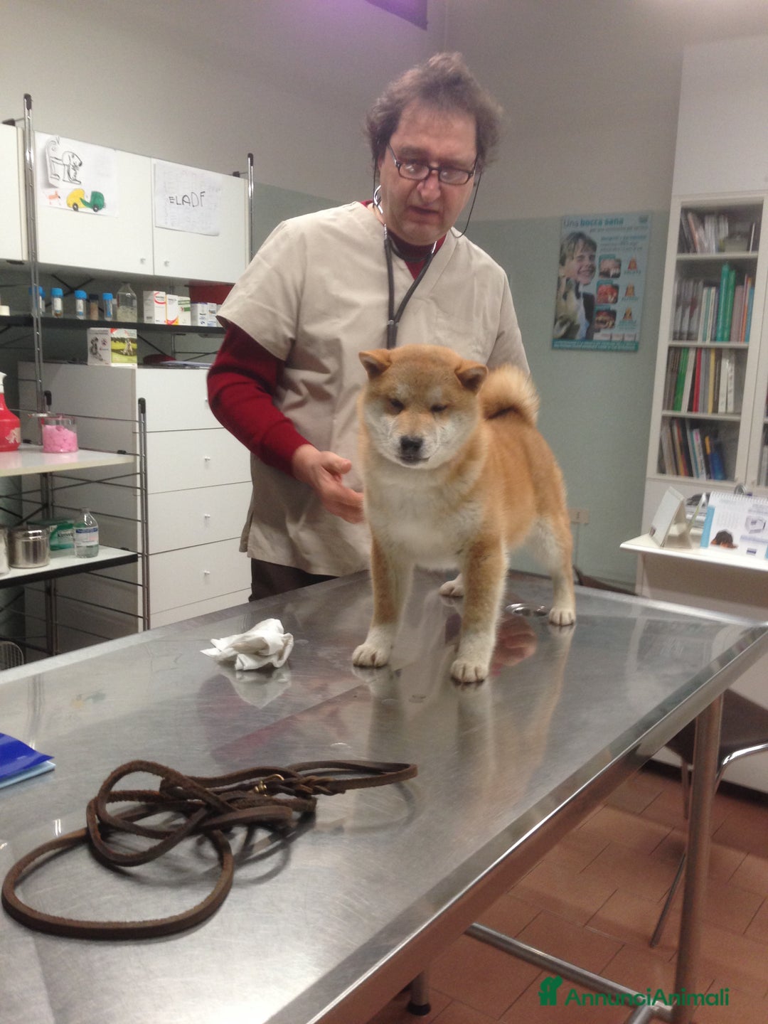 Immagine della galleria {{count}}