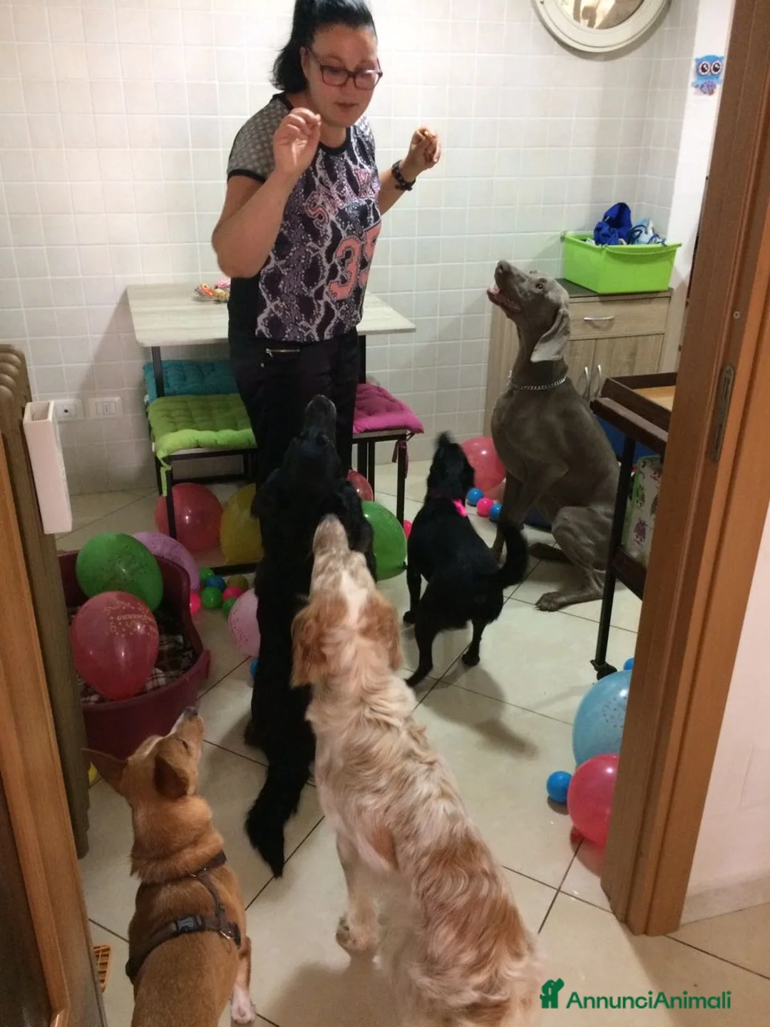 Immagine della galleria {{count}}