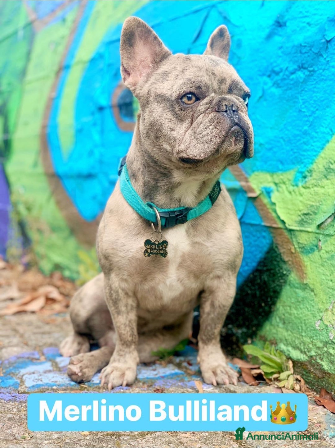 Immagine della galleria {{count}}