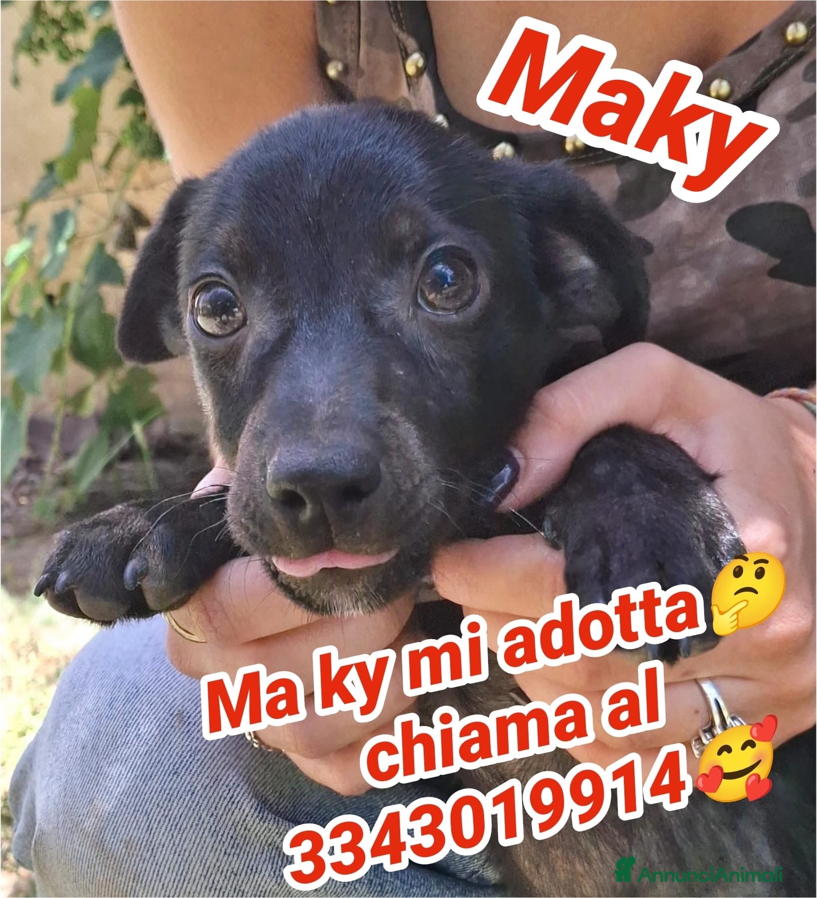 Meticcio cani MAKY 💙 un burlone pronto a conquistarti 😍 - Annuncio 8