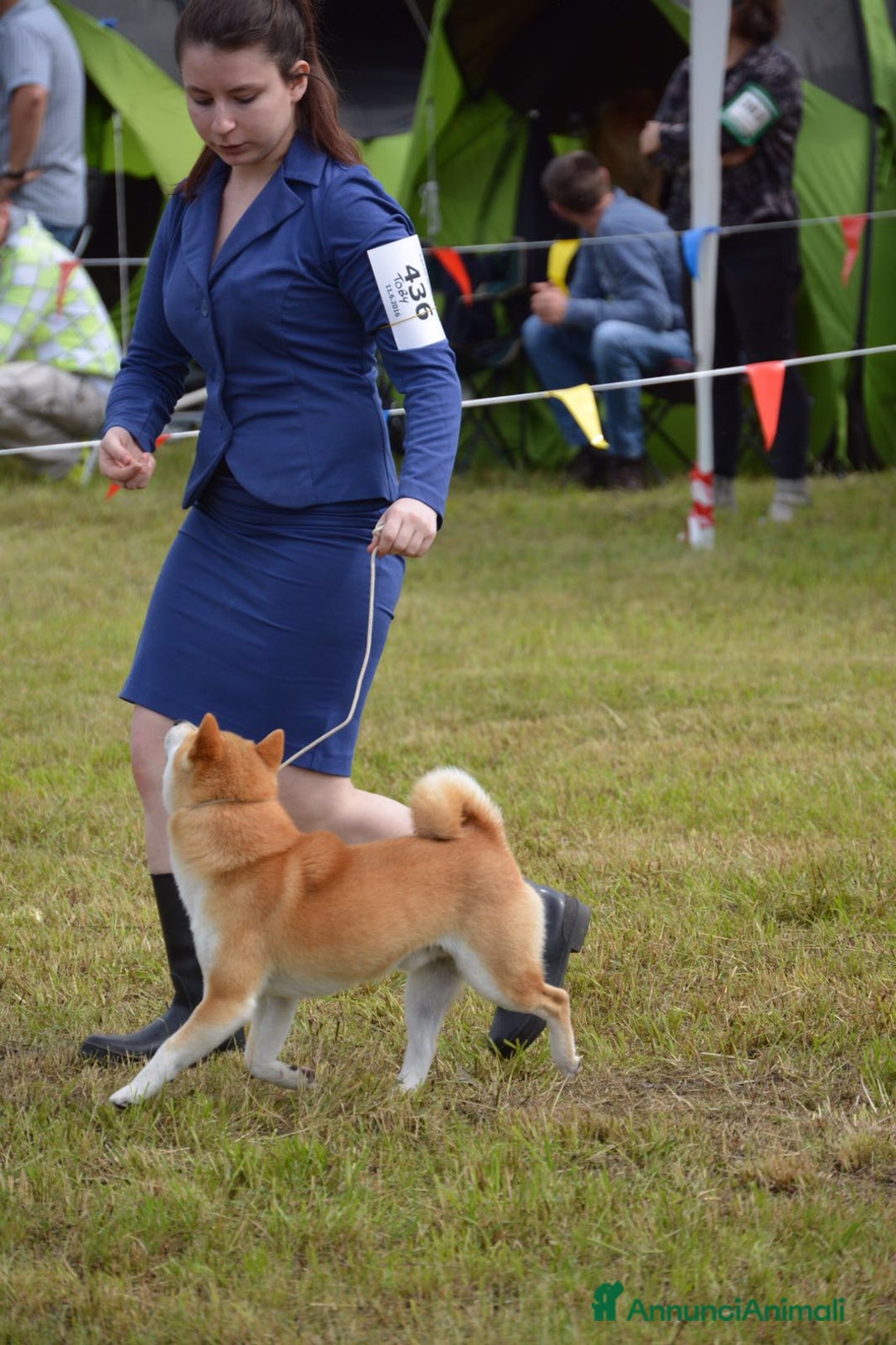 Immagine della galleria {{count}}