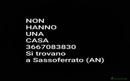 Europeo gatti in regalo: ❤️CI SIAMO ANCHE NOI - Immagine 9