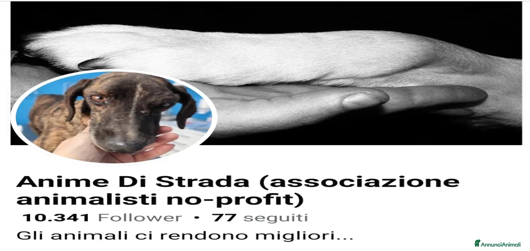 Immagine della galleria {{count}}