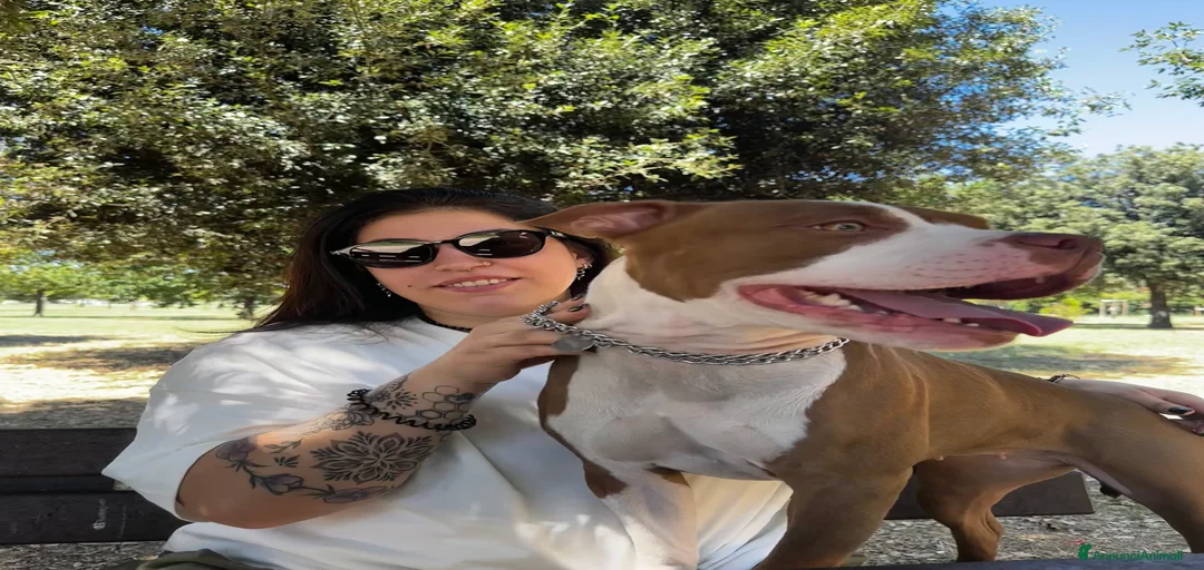 Immagine della galleria {{count}}