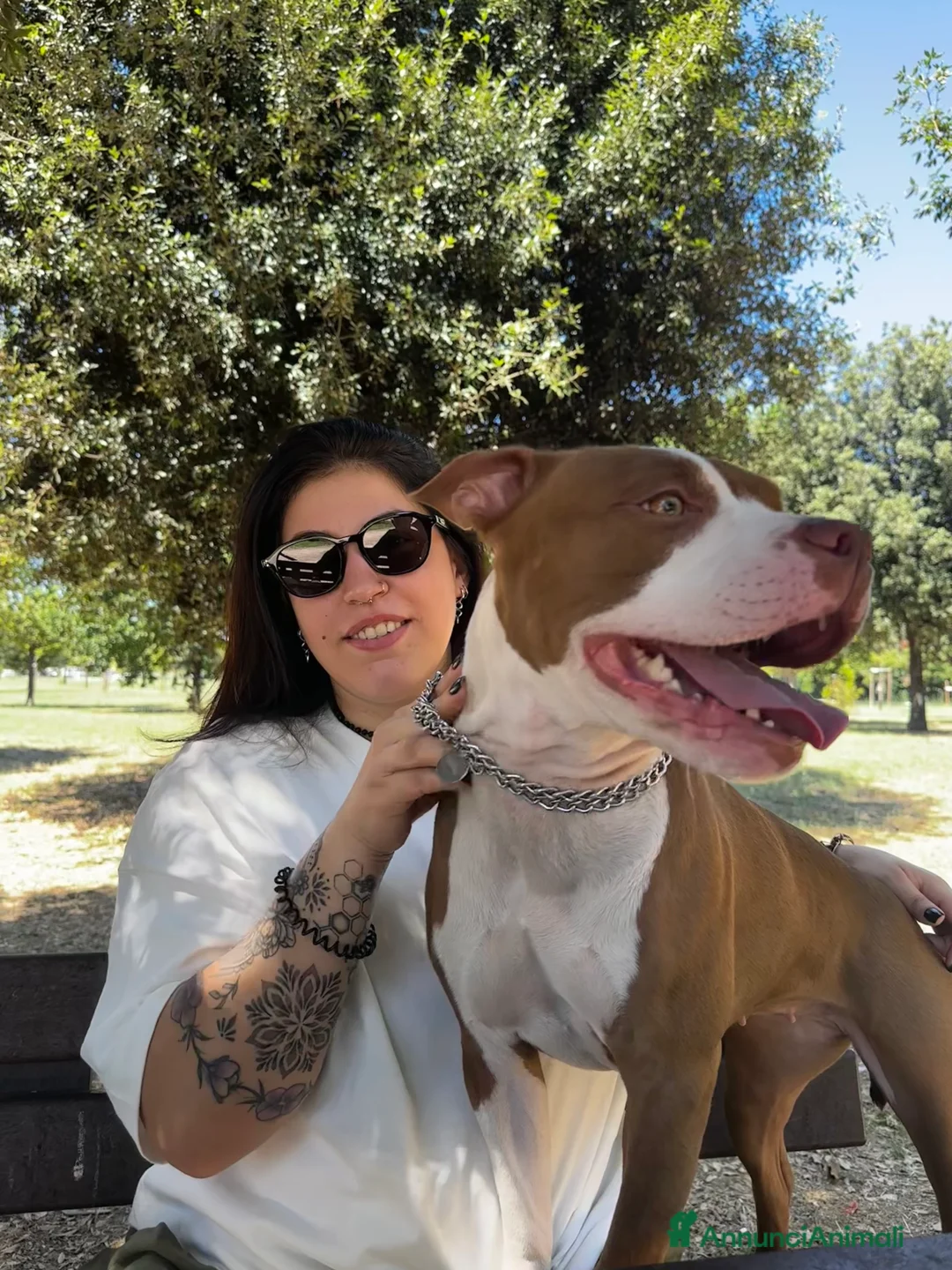 Immagine della galleria {{count}}