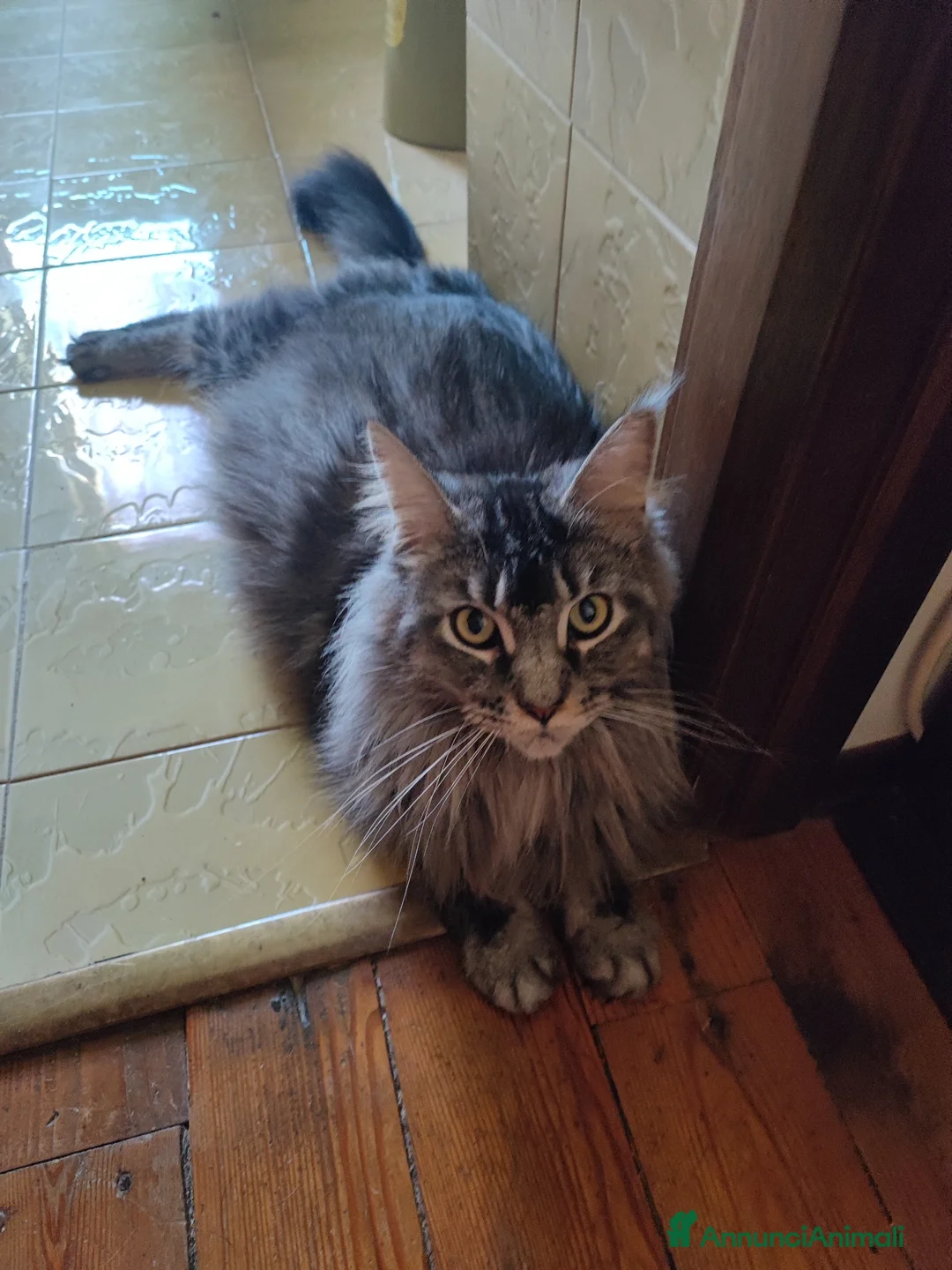 Immagine della galleria {{count}}