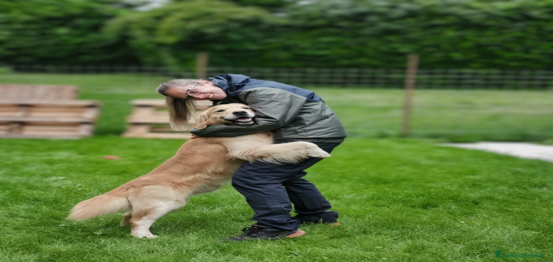 Immagine della galleria {{count}}