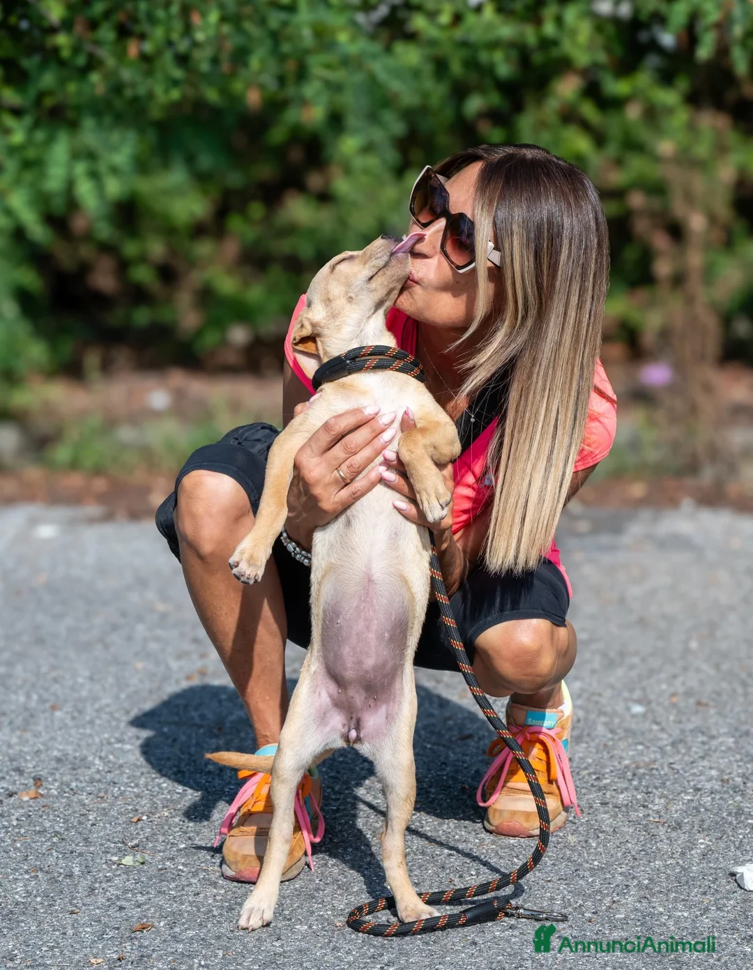 Meticcio cani in regalo: melissa - Annuncio 4
