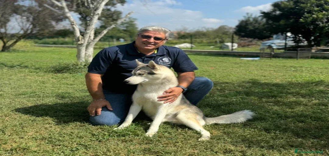 Immagine della galleria {{count}}