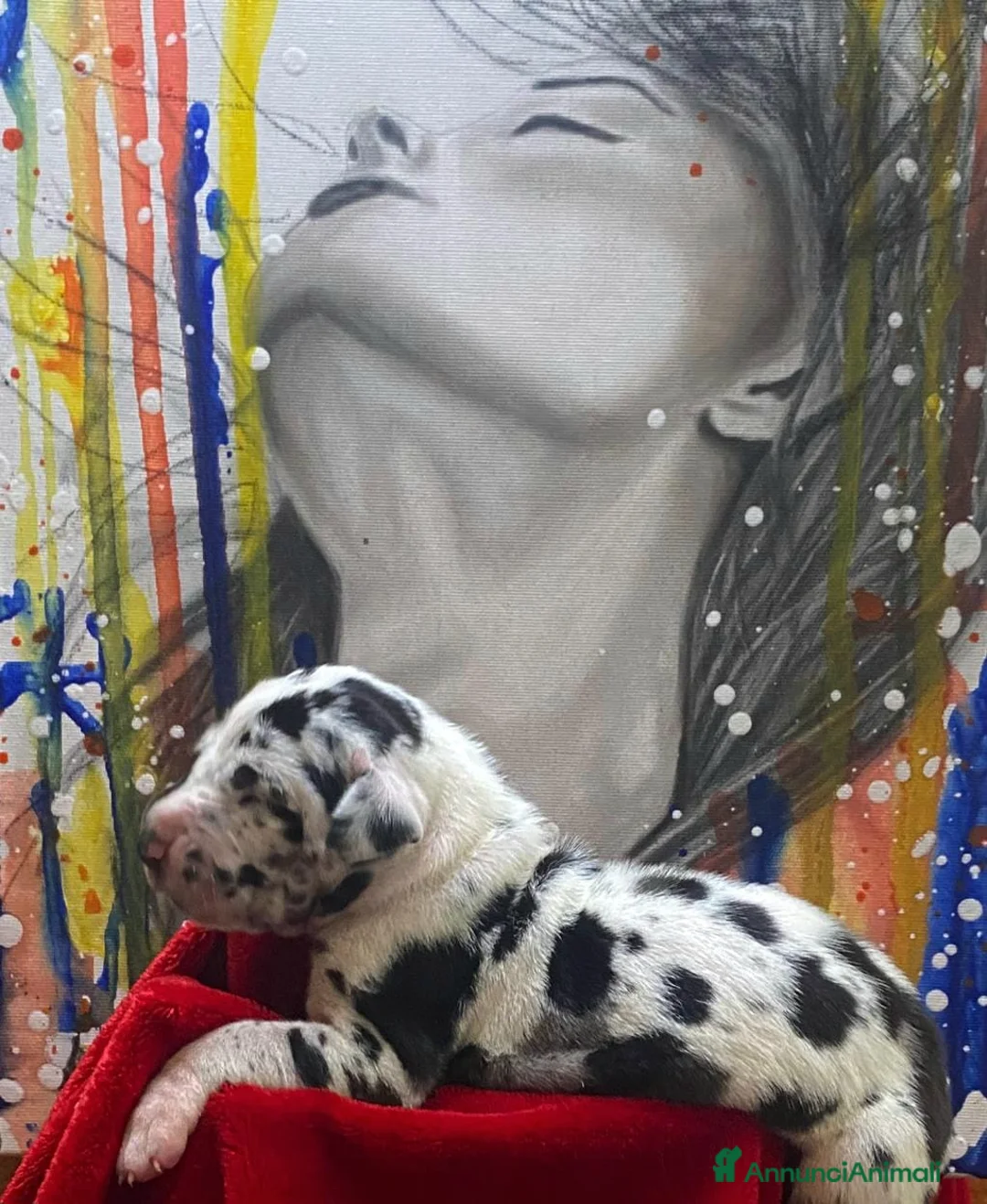 Immagine della galleria {{count}}