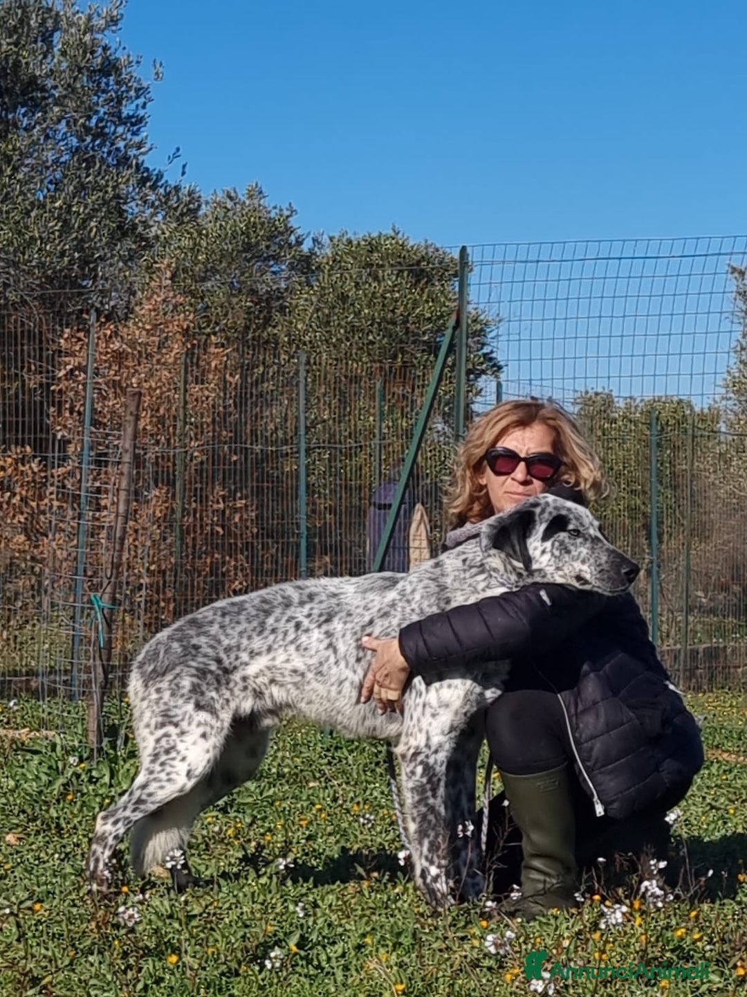 Meticcio cani in regalo: Furia, un allegro cucciolone  a Città Metropolitana di Bari - Immagine 5