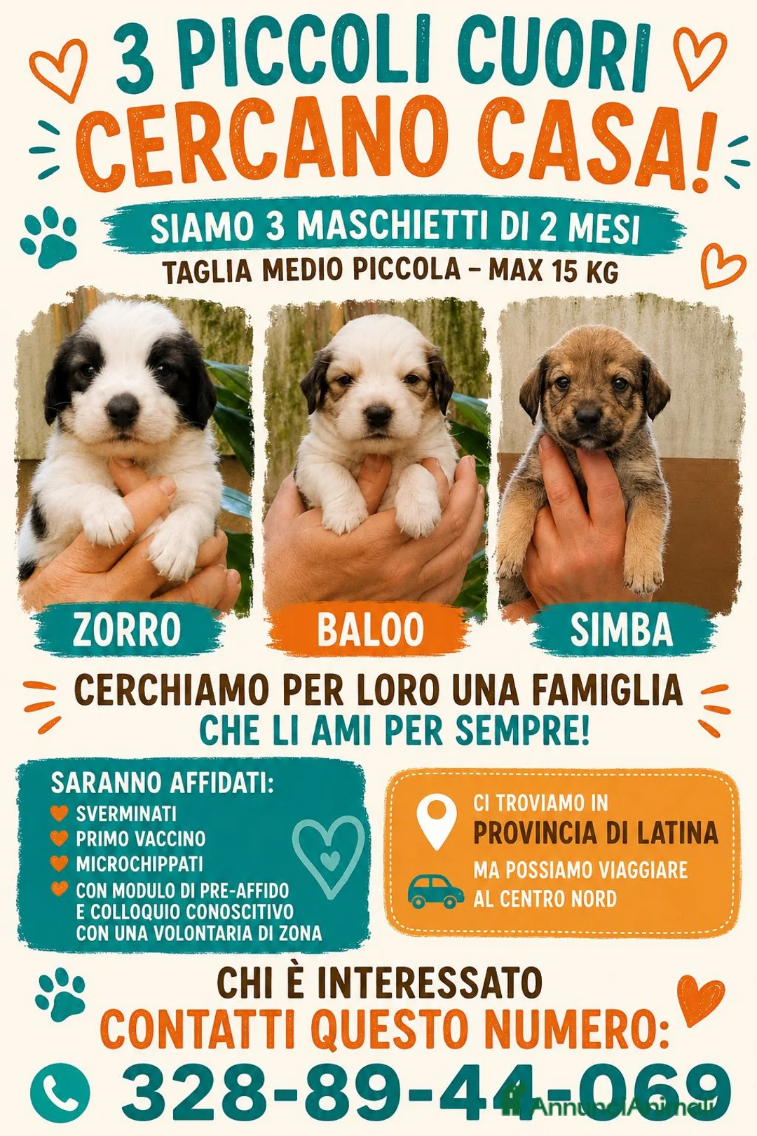 Meticcio cani in regalo: Cuccioli di taglia media piccola  - Annuncio 2