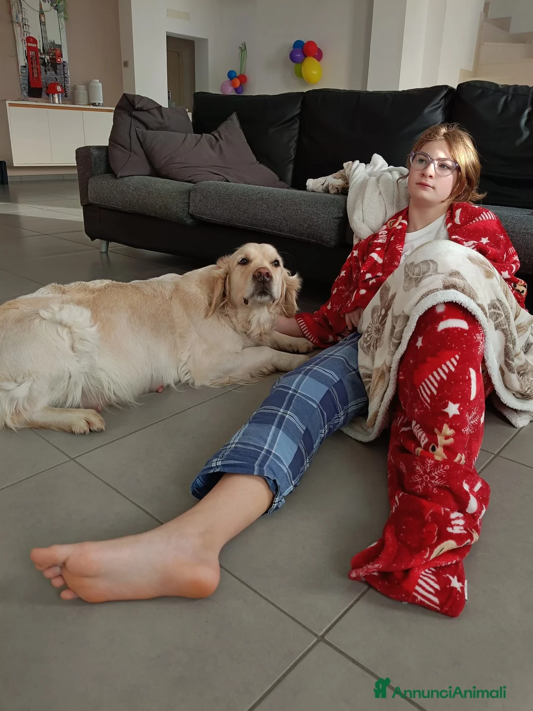 Golden Retriever cani in vendita: Cuccioli di Golden retriever con pedigree  a Provincia di Padova - Annuncio 1