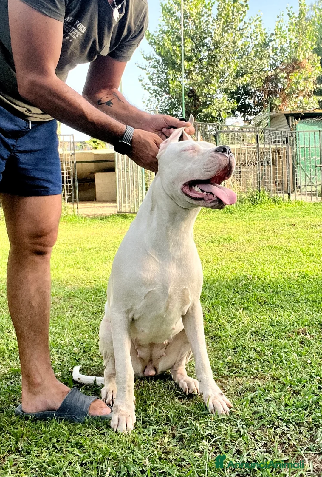 Immagine della galleria {{count}}