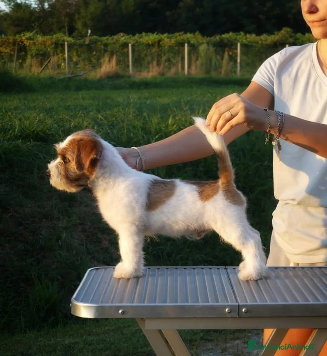 Immagine della galleria {{count}}