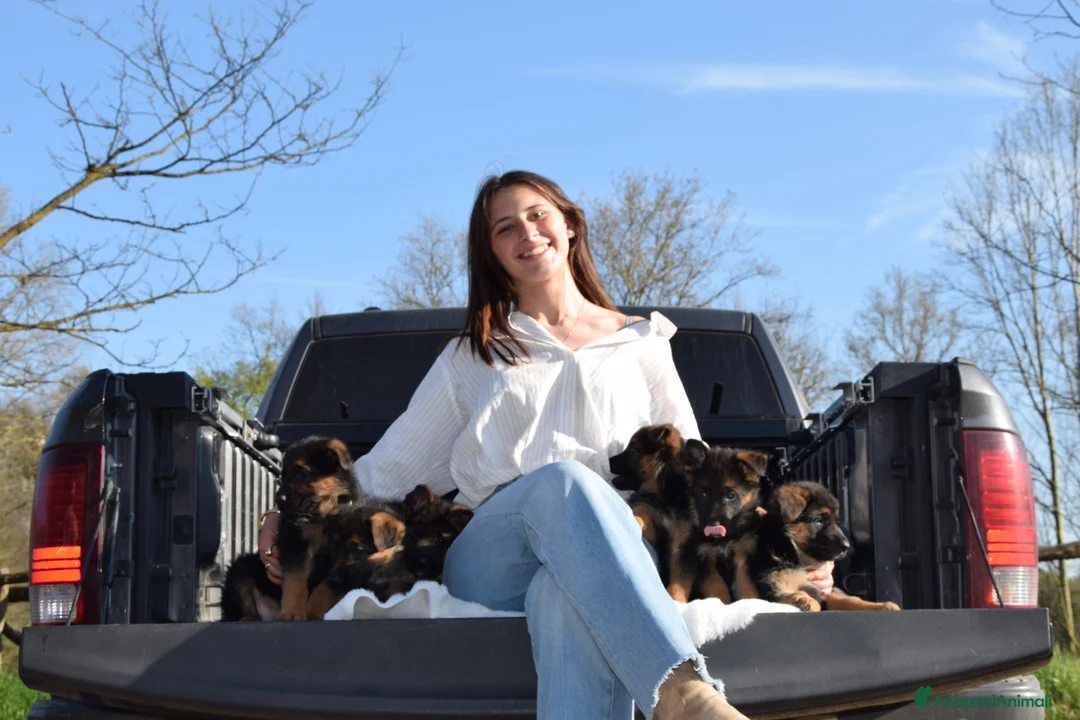 Immagine della galleria {{count}}