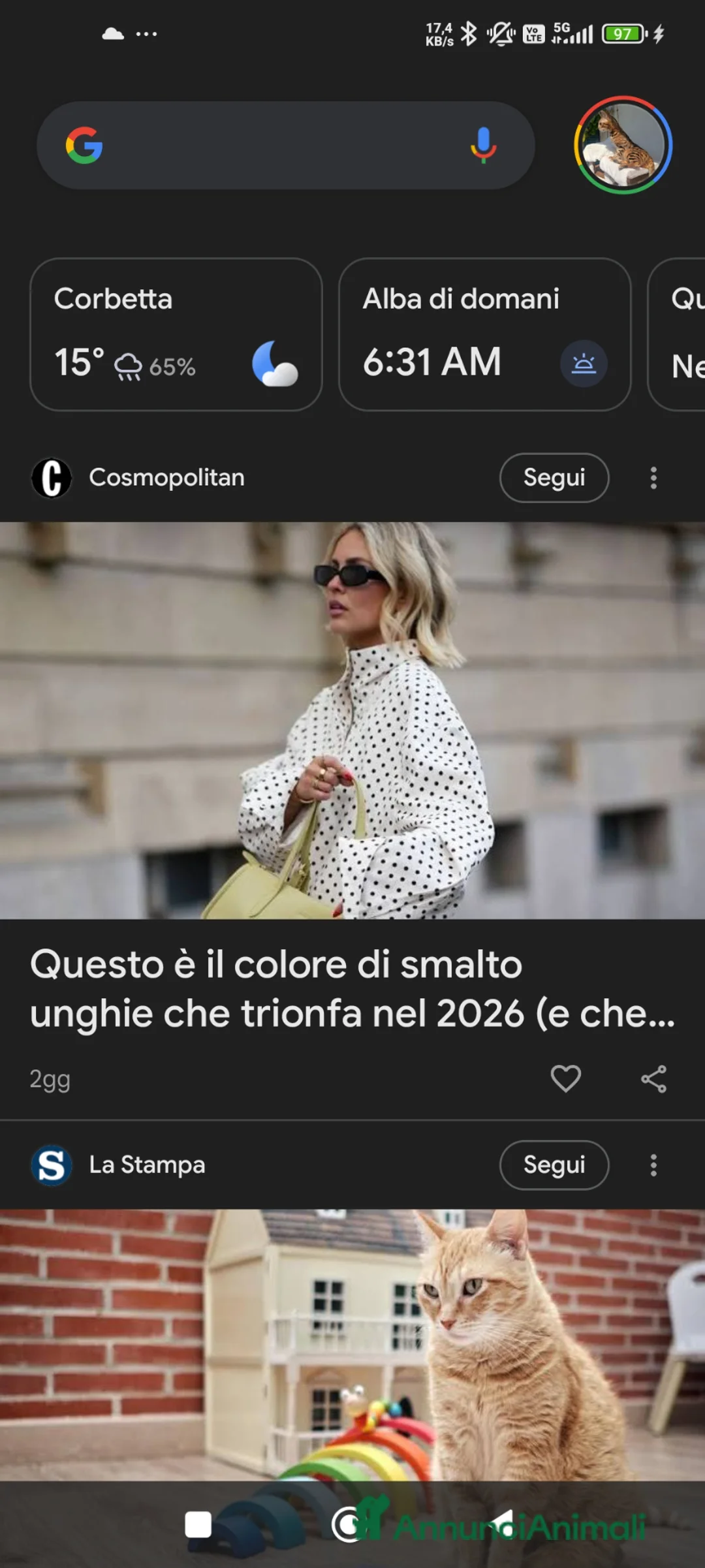 Bengala gatti in vendita: meravigliosi feminucce 🥰 - Annuncio 2