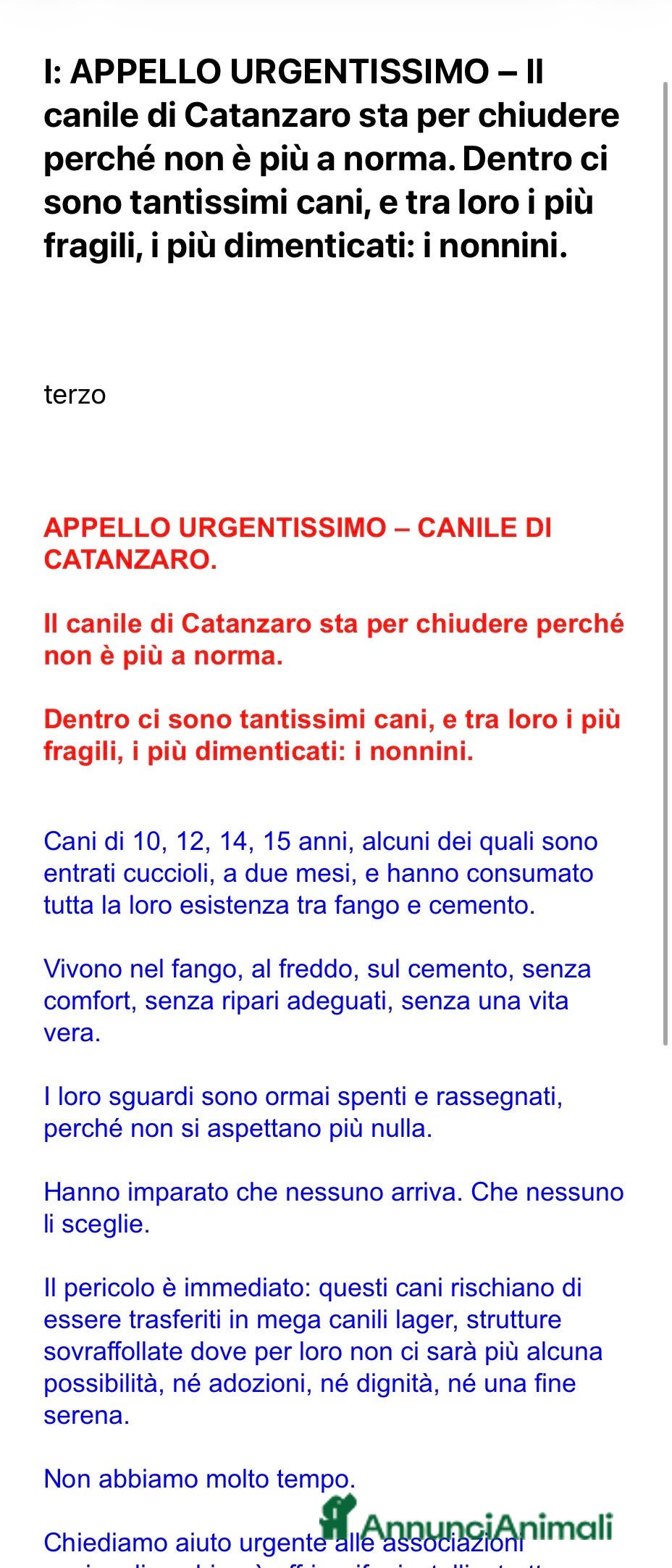 Meticcio cani APPELLO STRA URGENTE IL CANILE CHIUDE!!!!!! - Annuncio 14