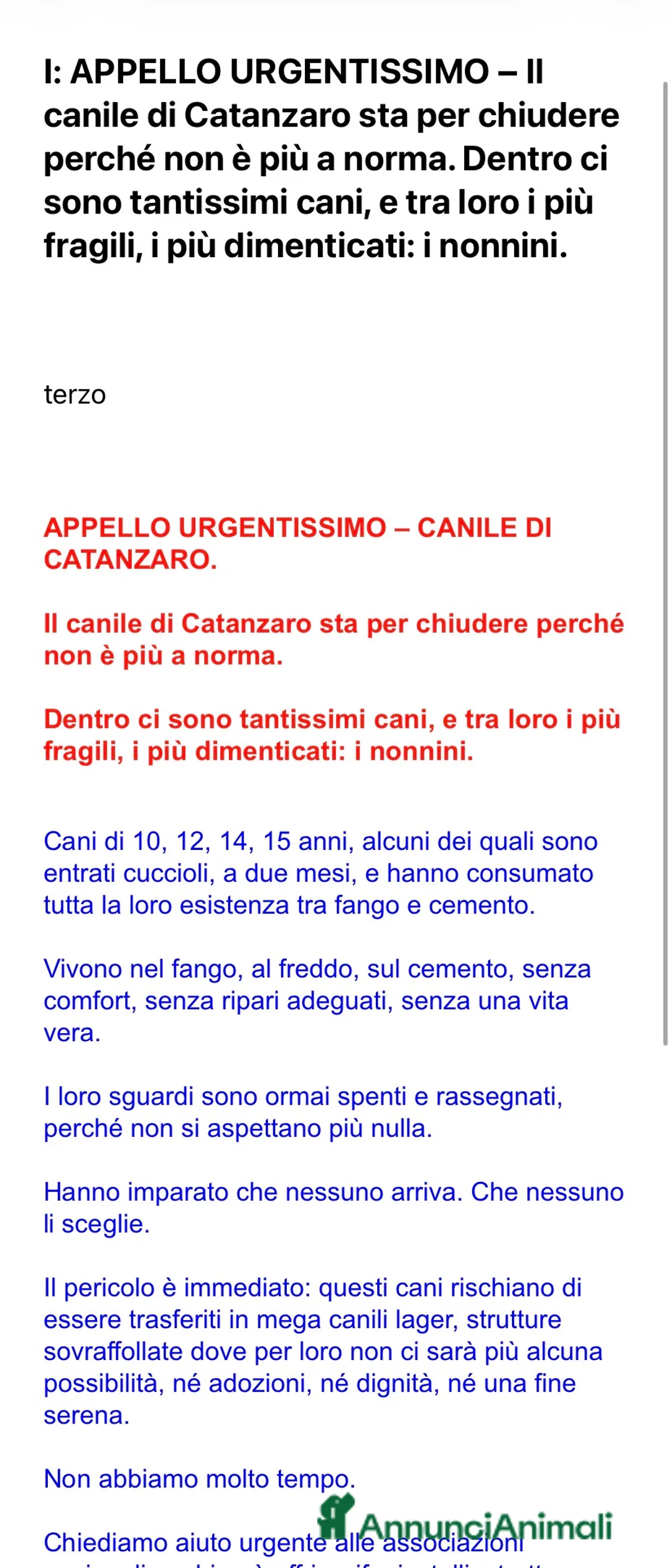 Meticcio cani in regalo: APPELLO STRA URGENTE IL CANILE CHIUDE!!!!!! - Annuncio 1