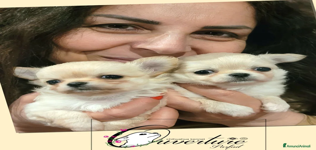 Immagine della galleria {{count}}