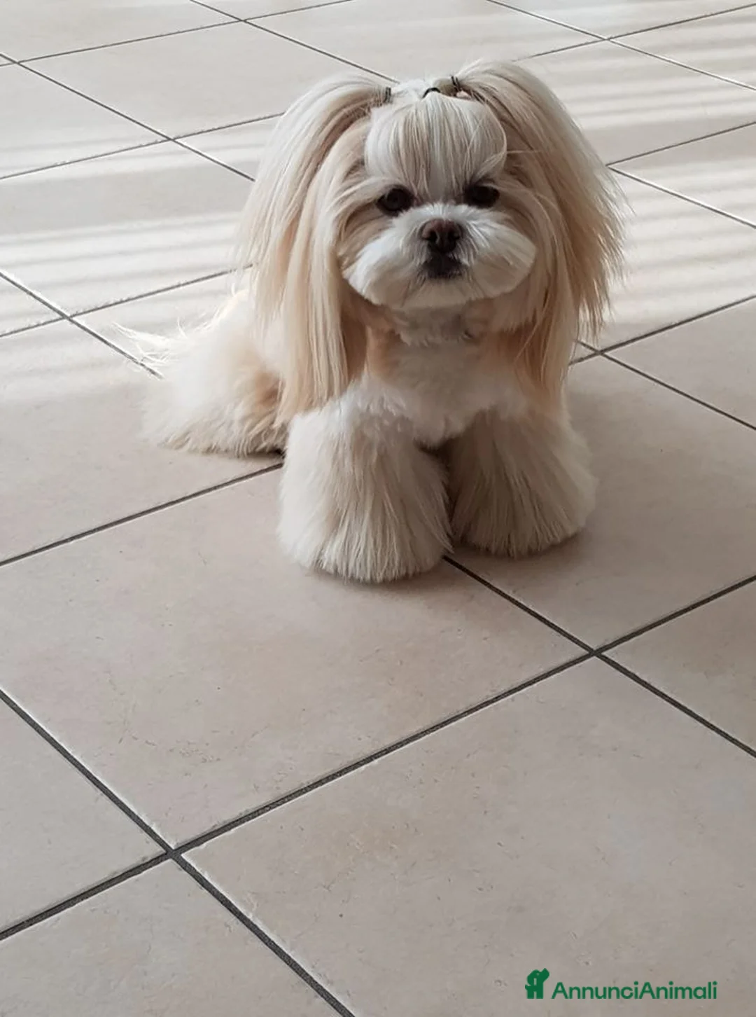 Immagine della galleria {{count}}