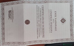 American Staffordshire cani in regalo: Amstaff maschio  - Immagine 9