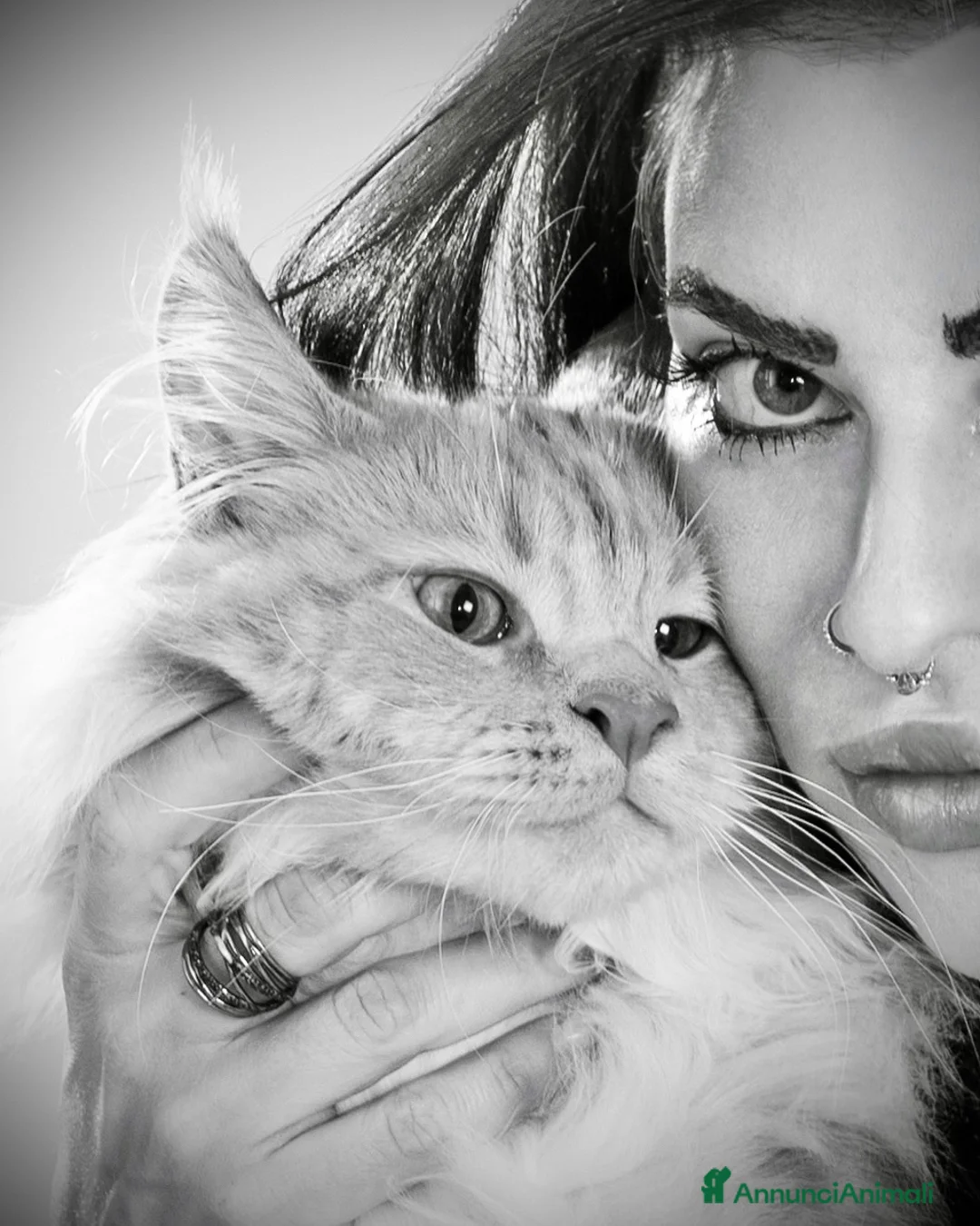 Immagine della galleria {{count}}