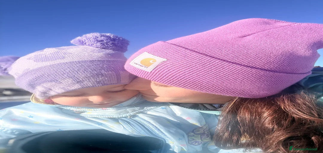 Immagine della galleria {{count}}