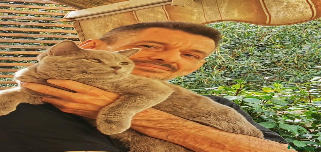 Immagine della galleria {{count}}