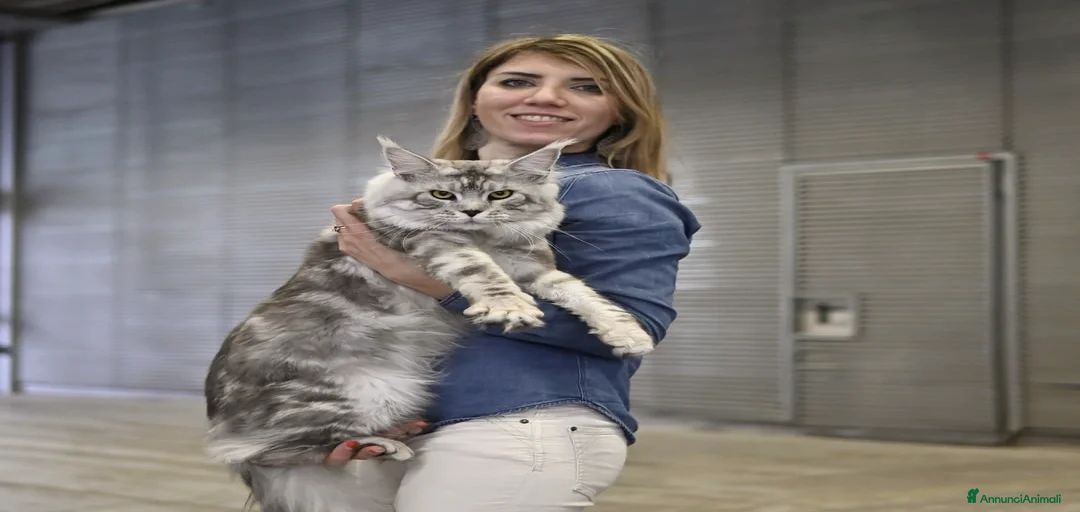 Immagine della galleria {{count}}