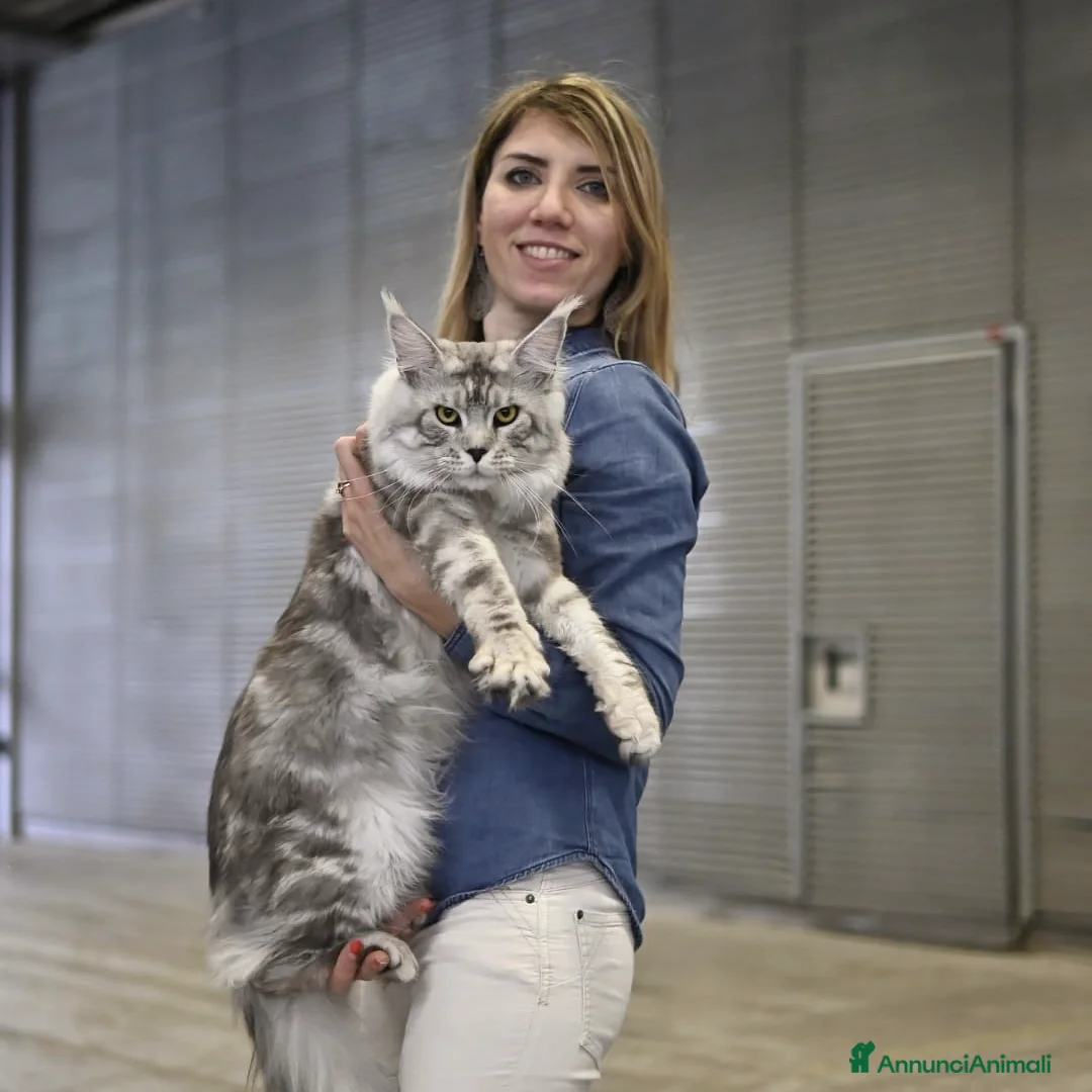 Immagine della galleria {{count}}