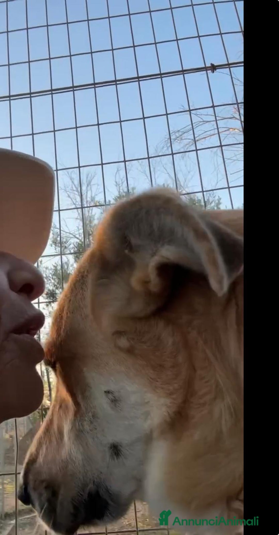 Immagine della galleria {{count}}