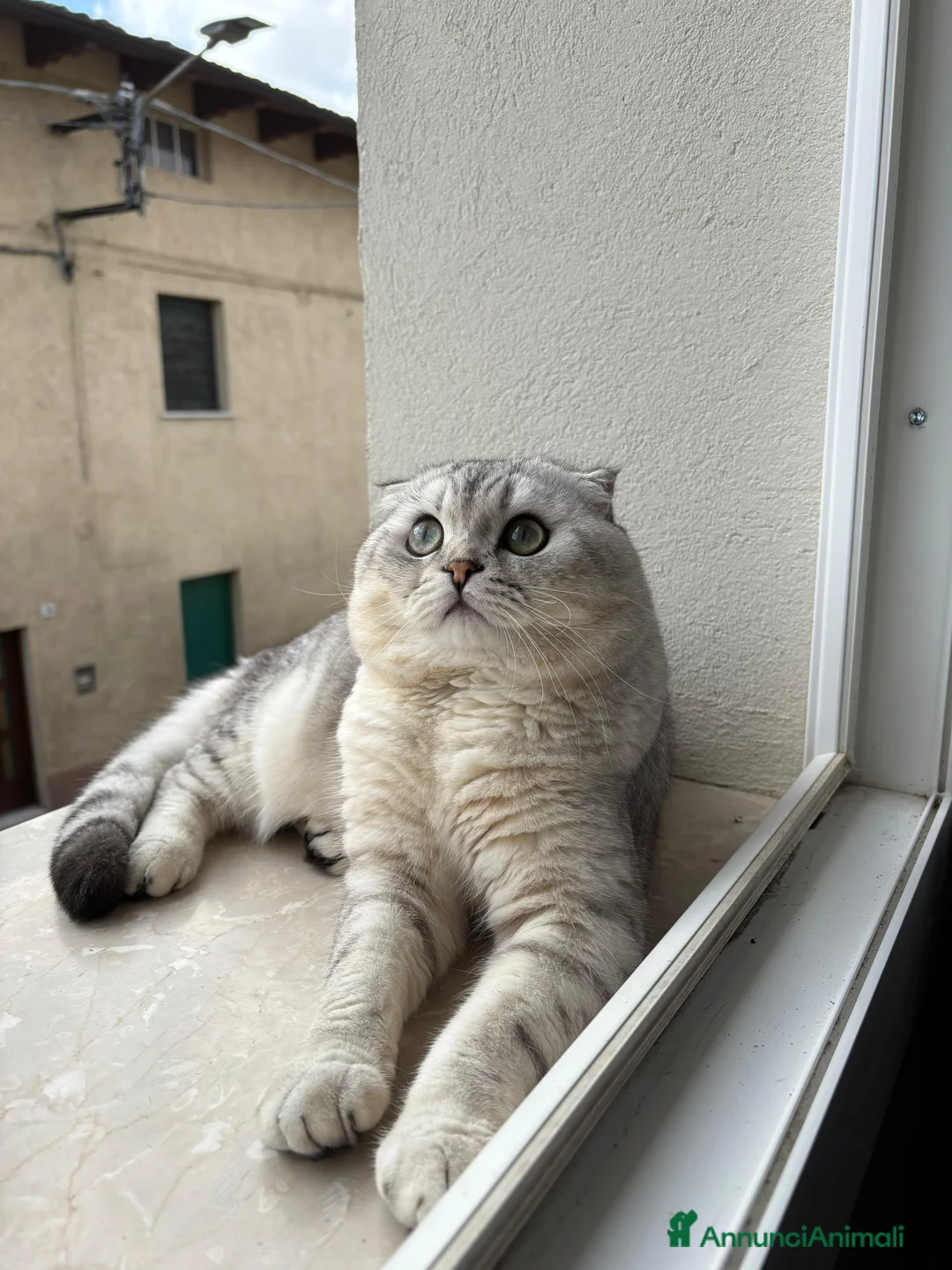 Immagine della galleria {{count}}