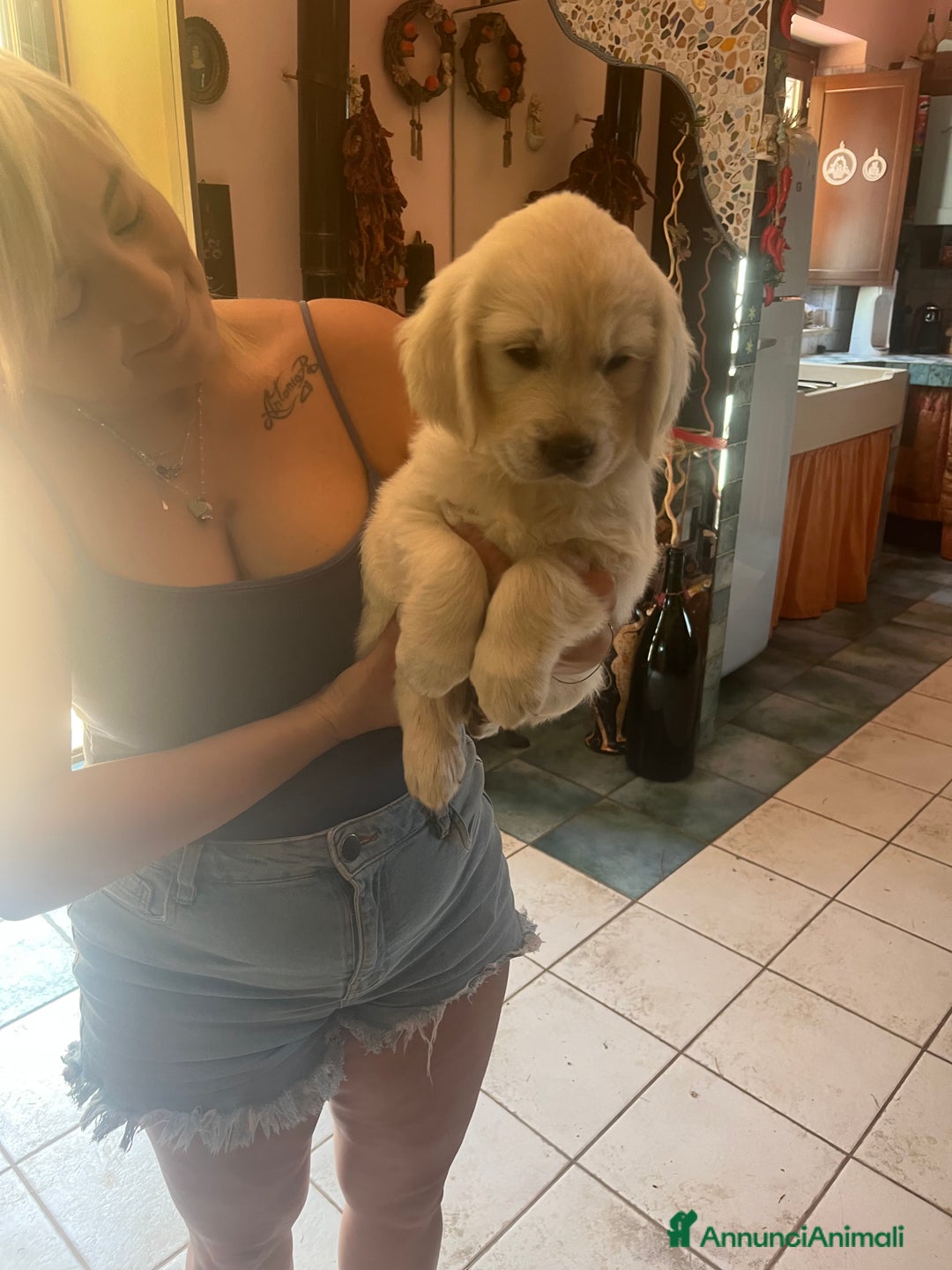 Golden Retriever cani in vendita: Cuccioli di Gold Retriever con pedigree  - Immagine 8
