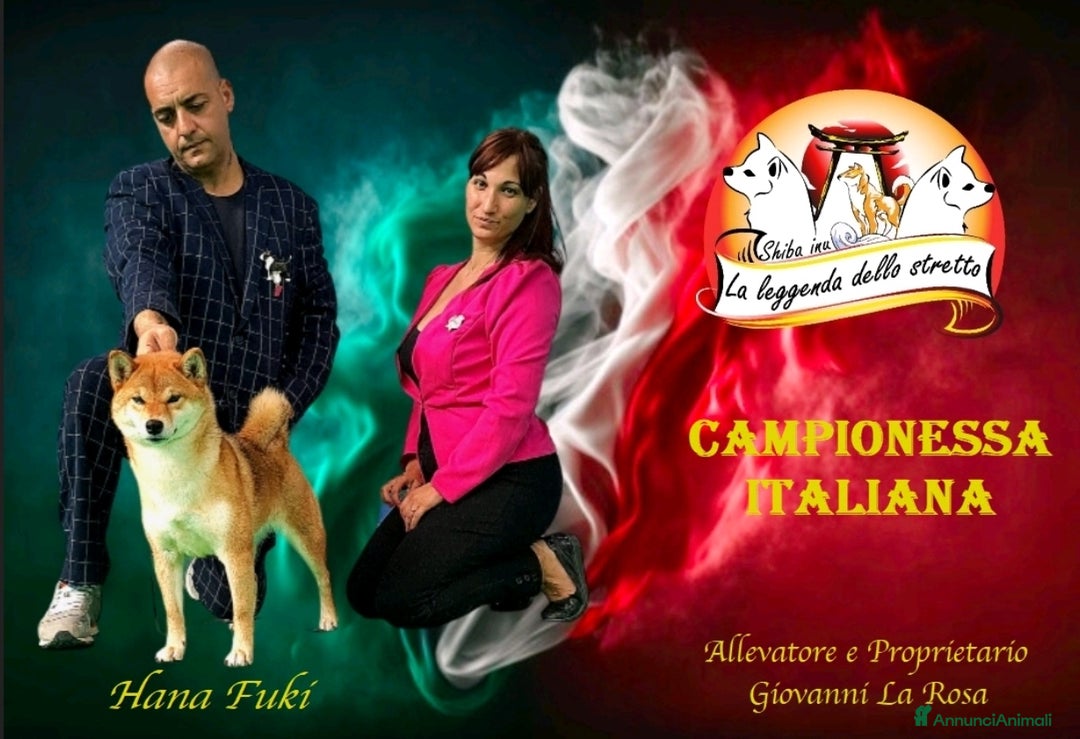 Immagine della galleria {{count}}