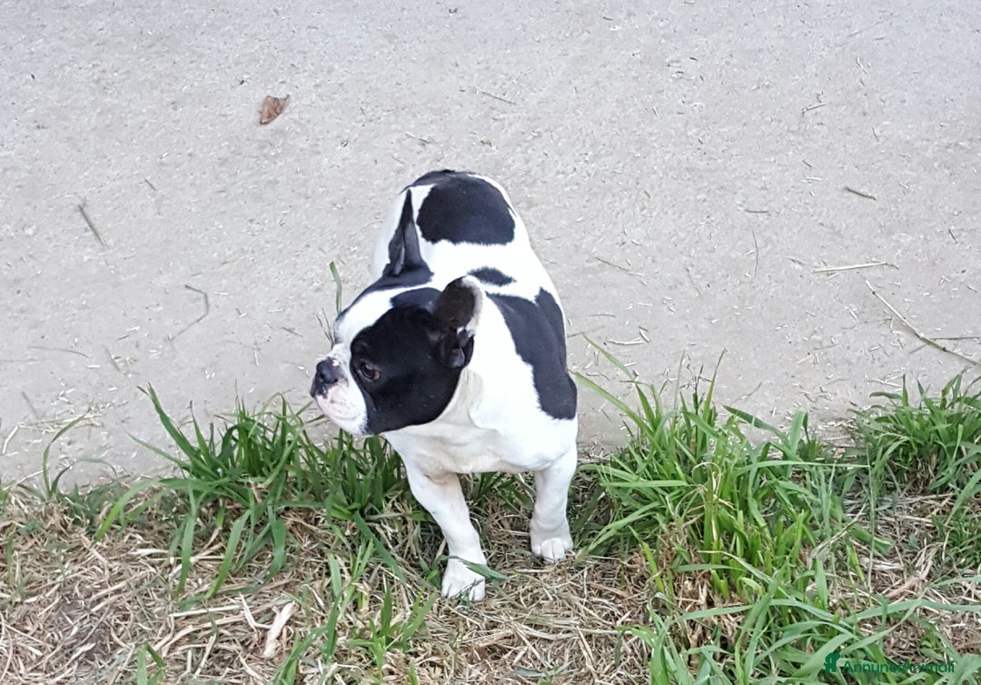 Immagine della galleria {{count}}