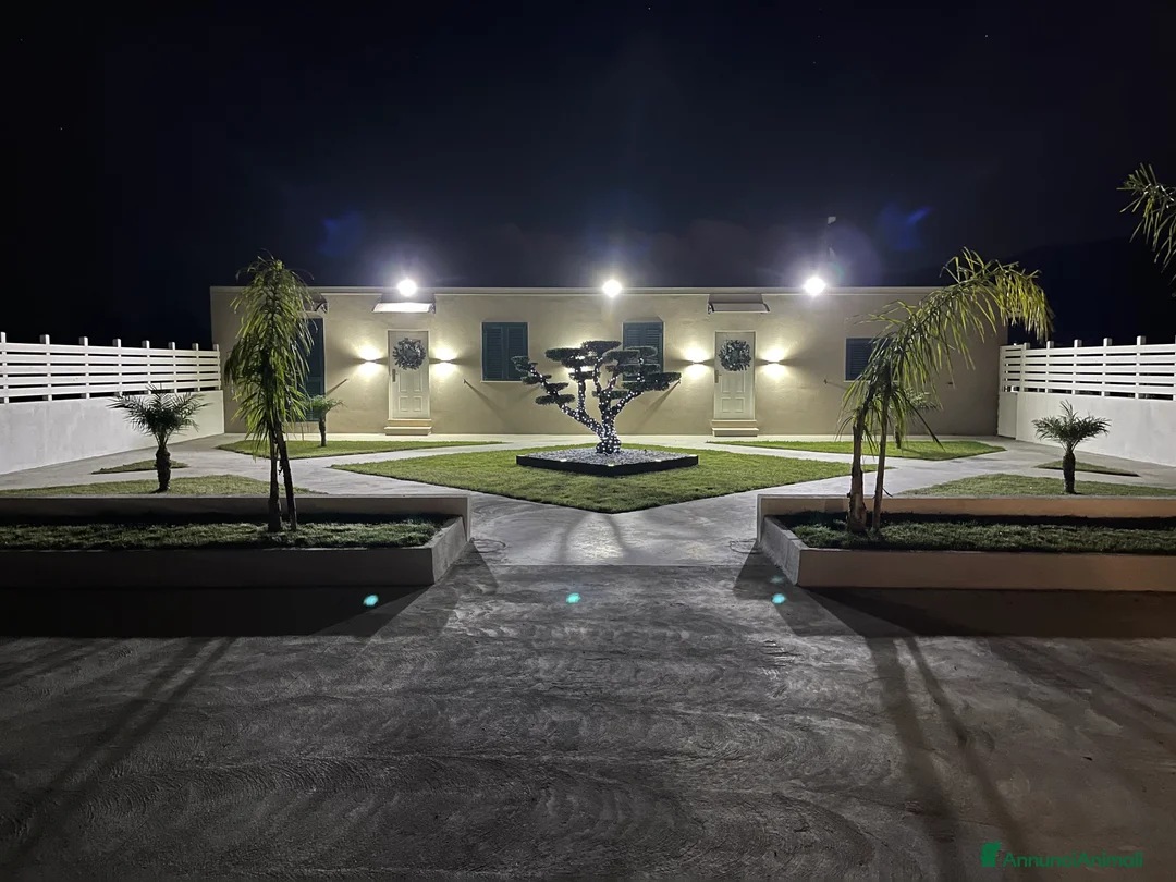 Immagine della galleria {{count}}